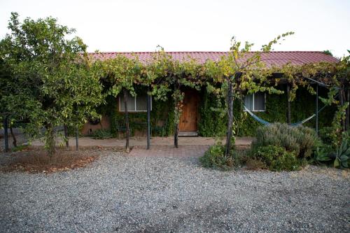 Terra del Valle, Valle de Guadalupe