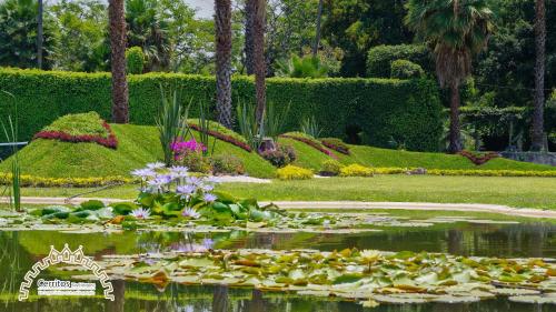 Jardín Cerritos, Xochitepec