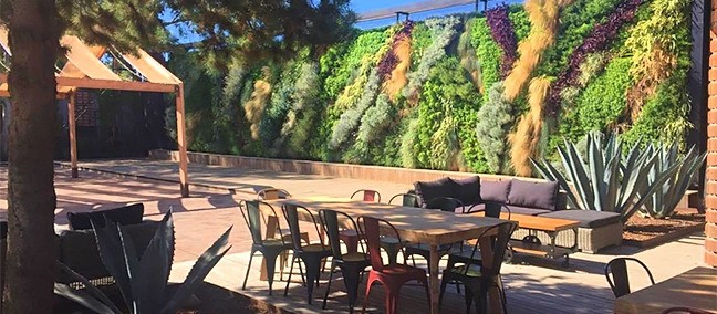 Rancho L-86, Valle de Guadalupe