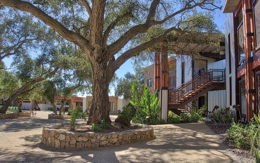 Maglén Resort, Valle de Guadalupe