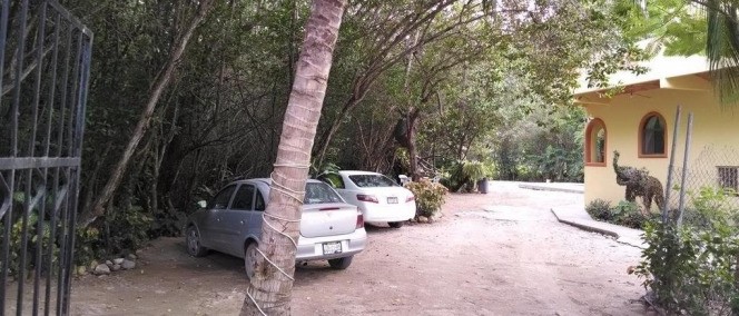Manglar Pacific, Los Ayala