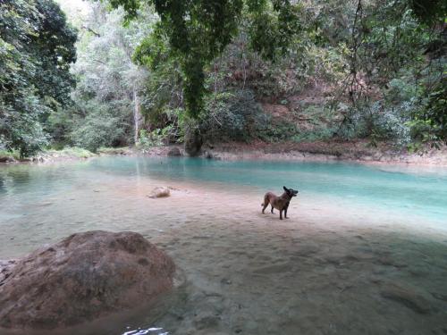 Bel-Ha Ecoparque, El Naranjo