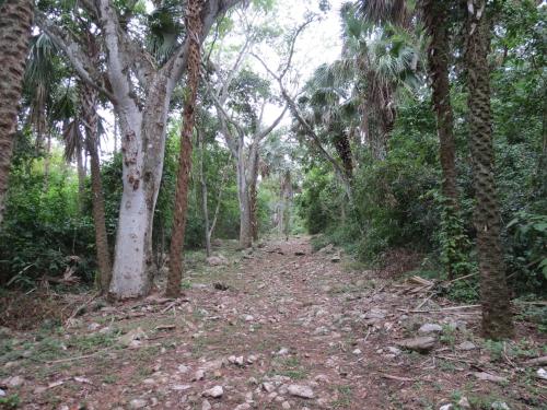 Bel-Ha Ecoparque, El Naranjo