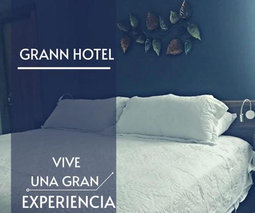 Grann Hotel, Ciudad Valles