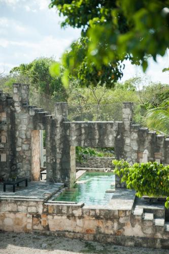 Coqui Coqui Cobá, Cobá