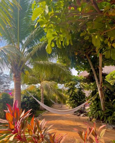 Troncones Point Hostel, Troncones