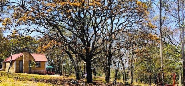 Cabañas del Tío Tavo, Amealco