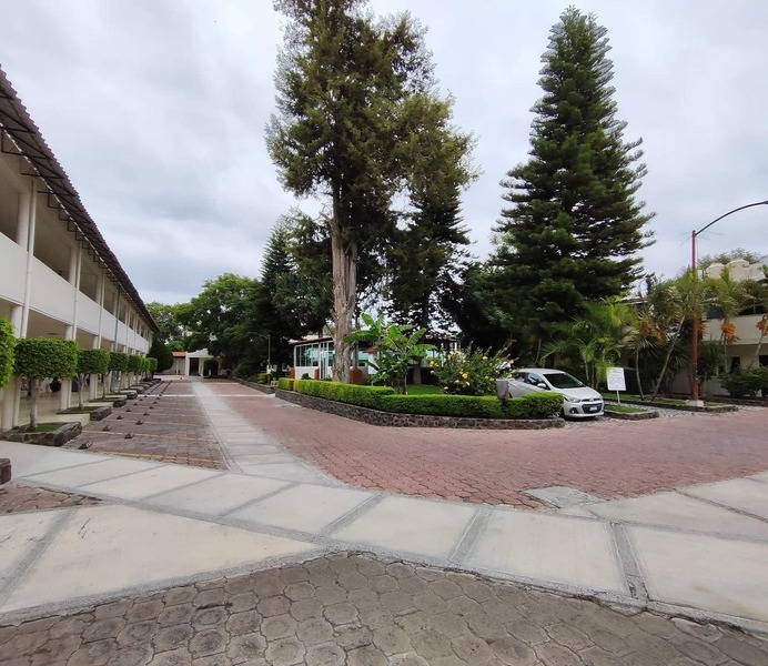 La Paloma, San Juan Del Río