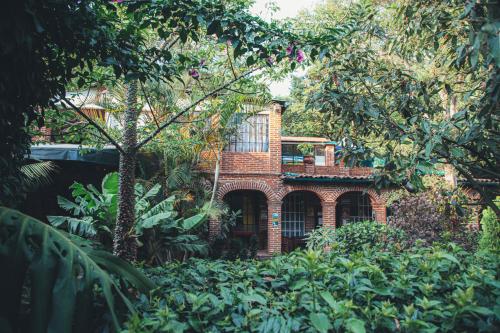 Posada Del Valle, Tepoztlán